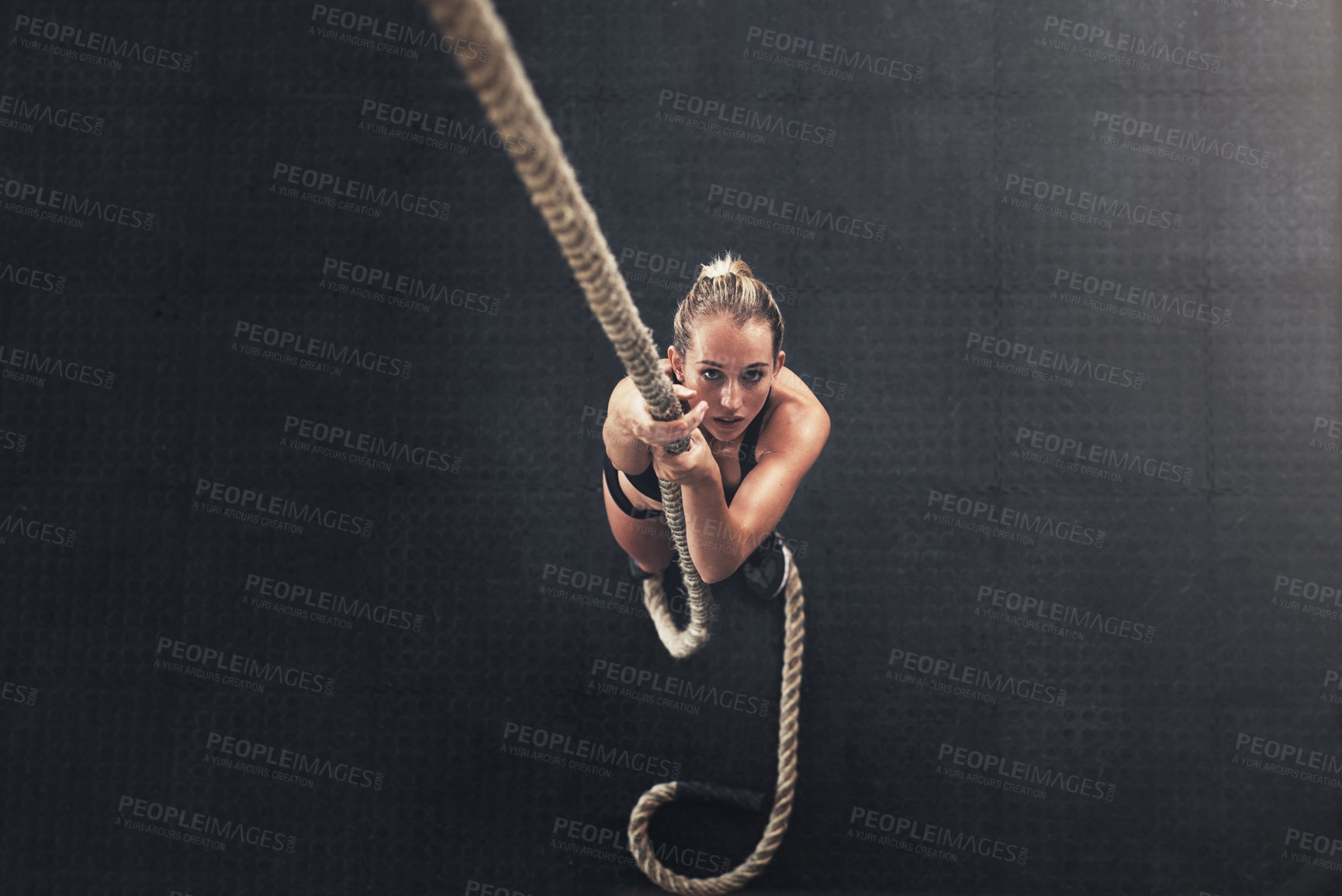 Buy stock photo Woman, bodybuilder and climb rope for fitness at gym for bodybuilding with strength and determination. Female person, muscles and strong on training, workout and exercise for health and above