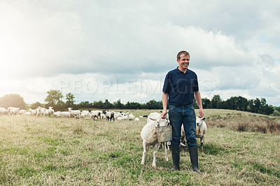 Buy stock photo Shot of a cheerful young male farmer feeding his sheep outside on his land during the day
