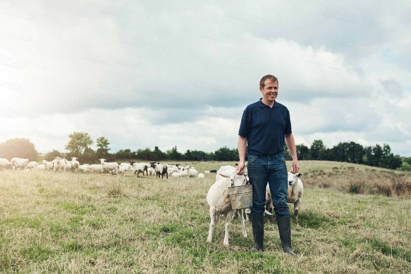 Buy stock photo Field, agriculture and man with sheep, nature and grass for sustainable farming, inspection and countryside. Farmer, guy and smile with animals for meat production, livestock or organic health