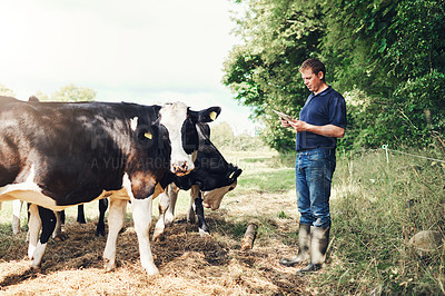 Buy stock photo Shot of a carefree young male farmer browsing on a digital tablet while standing next to his cows outside during the day