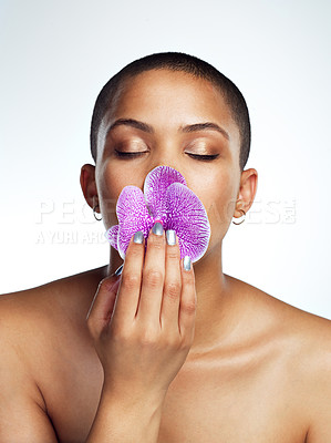 Buy stock photo Studio shot of a beautiful young woman posing with a flower in her mouth