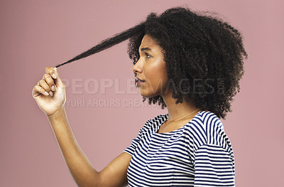 Buy stock photo Studio shot of a beautiful young woman holding up a strand of hair