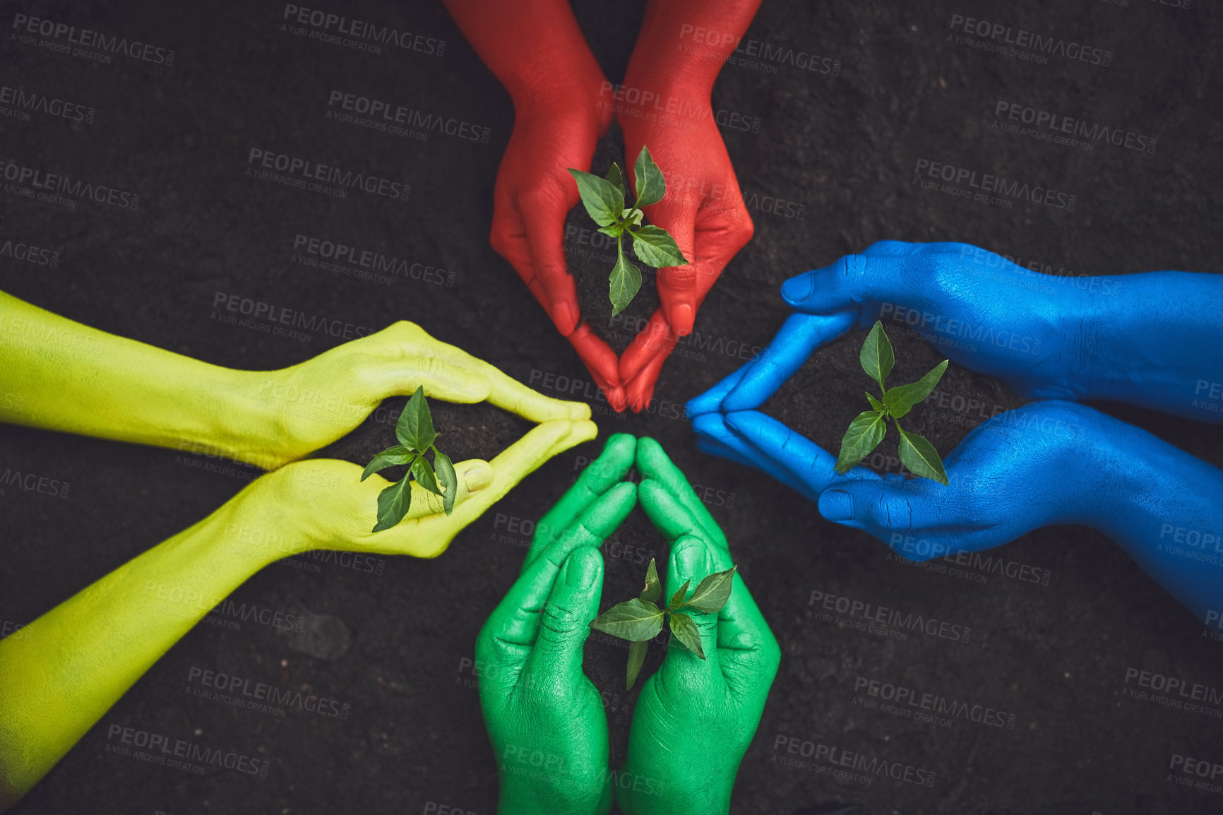 Buy stock photo Color, nature and hands of people with plant for growth, sustainability and eco friendly community service. Gardening, earth day and group with sprout in soil for environment, ecosystem and ecology