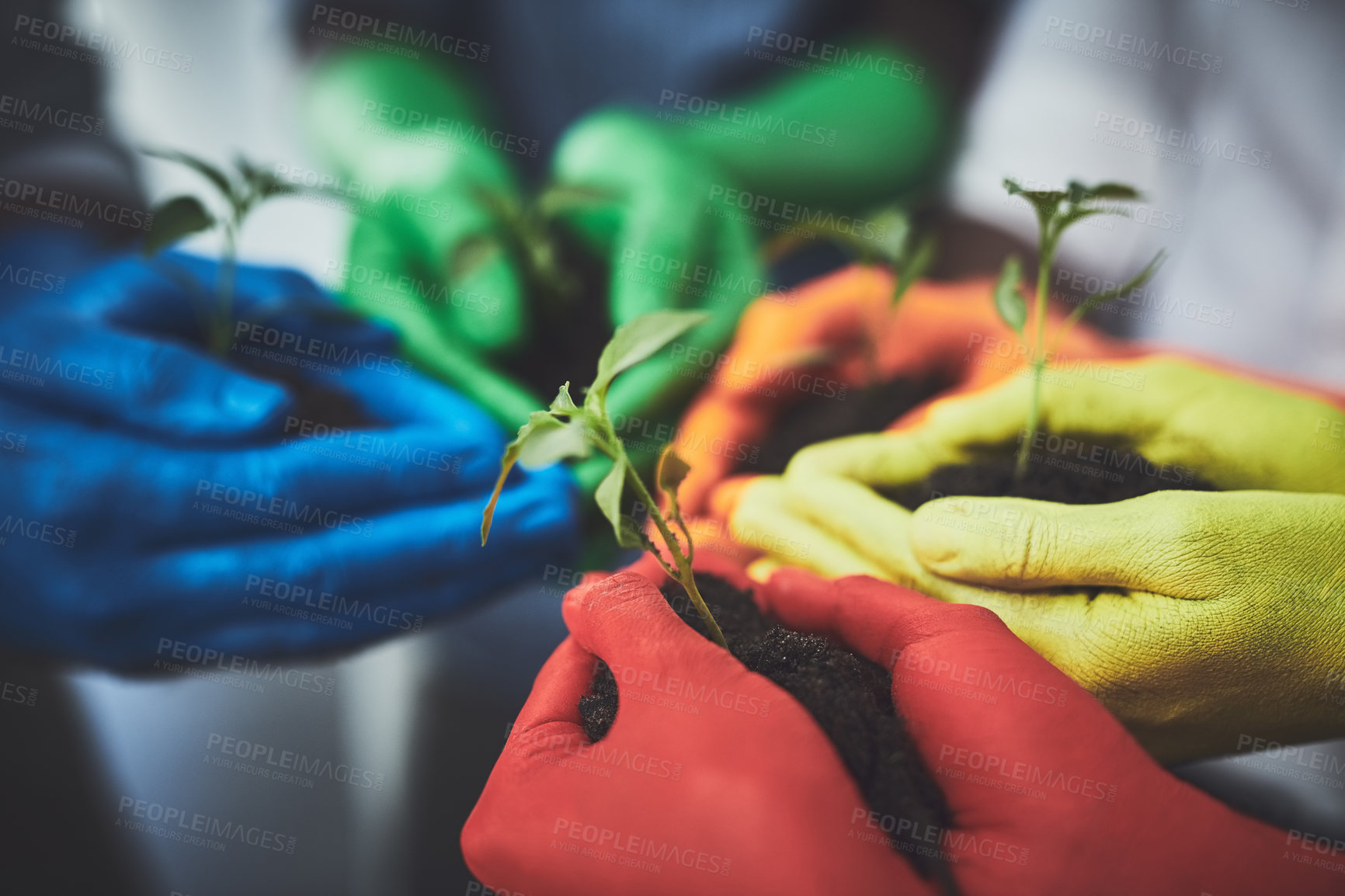 Buy stock photo Environment, group and soil with hands of people for growth, future and sustainability. Support, volunteer and hope with closeup of plant and dirt for community service, color paint and garden.