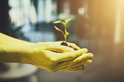 Buy stock photo Cropped shot of unrecognizable people holding budding plants in their colorful hands