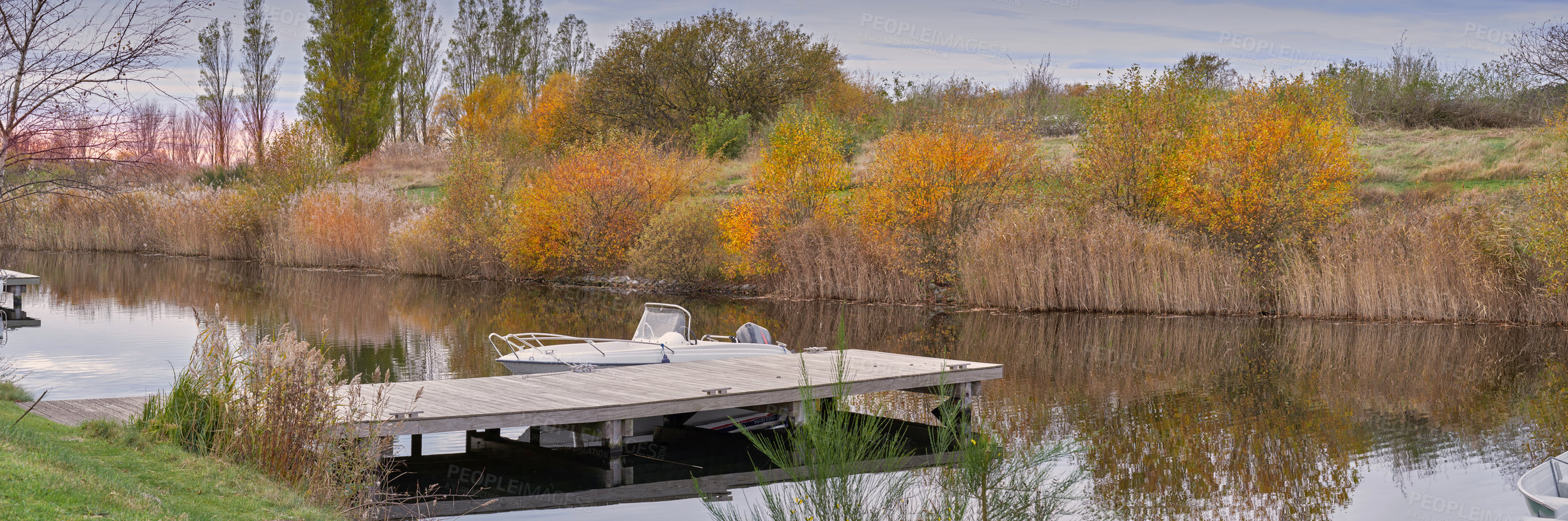 Buy stock photo Wood, platform and forest with lake of scenic nature, trees and boat for small dock in swamp or river. Empty, banner and water with wooden deck or bridge of natural landscape or view in wilderness