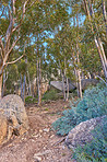 Trails of Table Mountain National Park