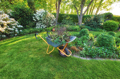 Buy stock photo Wheelbarrow on a perfect green lawn in a cultivated country garden used for garden work. Professional gardening service or contracted gardener maintaining a lush backyard and planting seasonal shrubs
