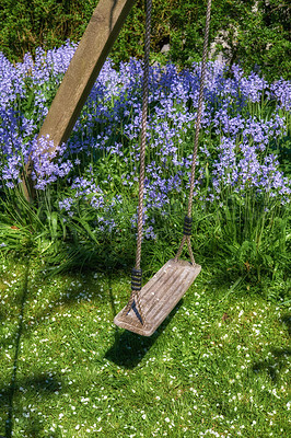 Buy stock photo A space to play in a backyard for active children wanting to have fun and play. Empty swing in a lush garden with green grass and perennial purple cranesbill blossoms growing and thriving outside. 