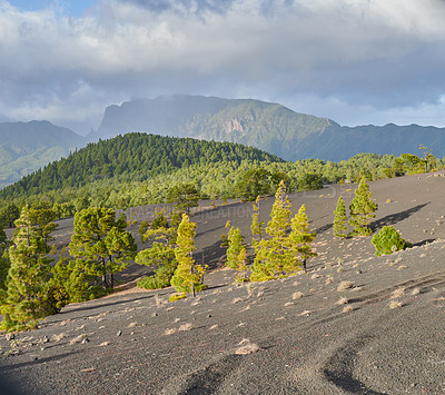 Buy stock photo Beautiful lava landscape on the Cumbre Nueva in La Palma