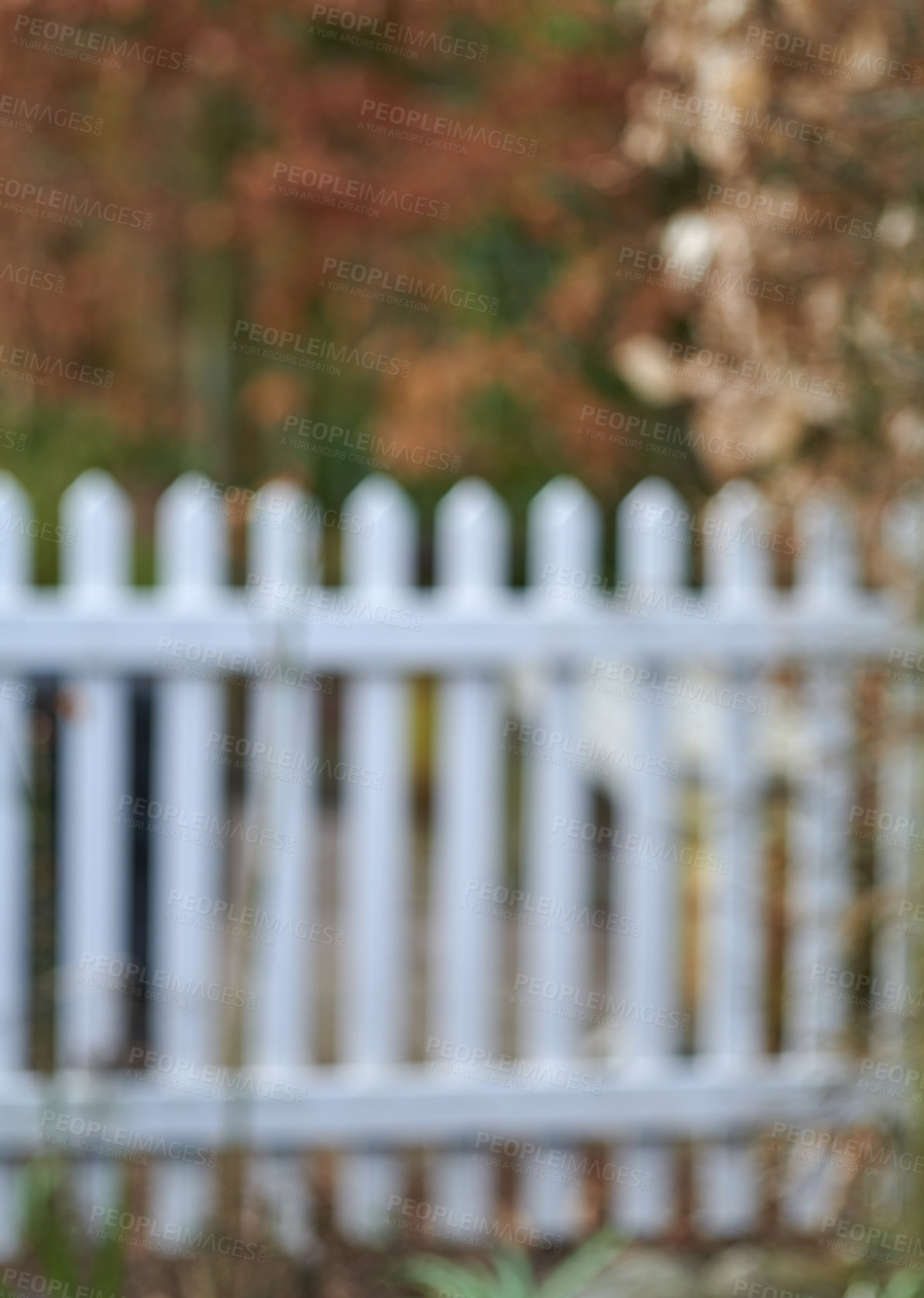 Buy stock photo A white classic fence surrounded by green lush plants and trees. Blurred barricade outdoors of a house in the backyard near the garden. Barrier of a home with vibrant flora on a summer day