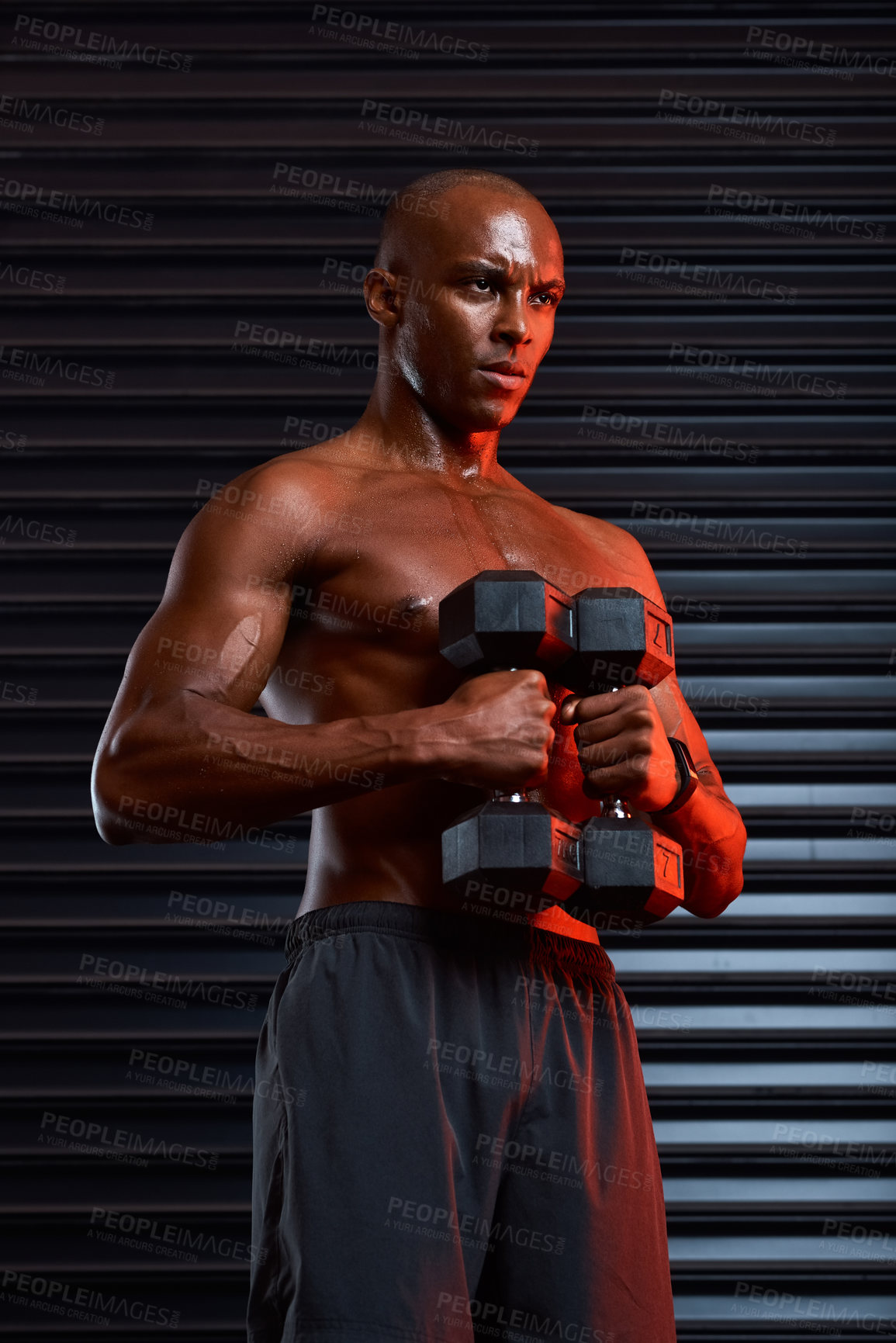 Buy stock photo Muscle, African man and dumbbell for body health, strong arms and workout in gym aesthetic. Black person, bodybuilder and training for competition with weightlifting, power performance and wellness