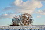 Farmland in winter - Denmark