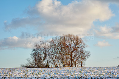 Buy stock photo Farmland in wintertime - Denmark