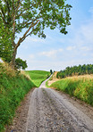 Hardwood forest - Denmark