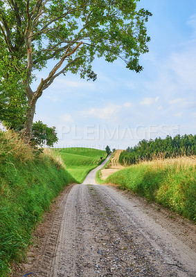 Buy stock photo Vibrant green grass and trees growing in the countryside in summertime. A dirt road leading to the soothing, quiet rural landscape. bright sunny day in farming fields, lush green organic growth 