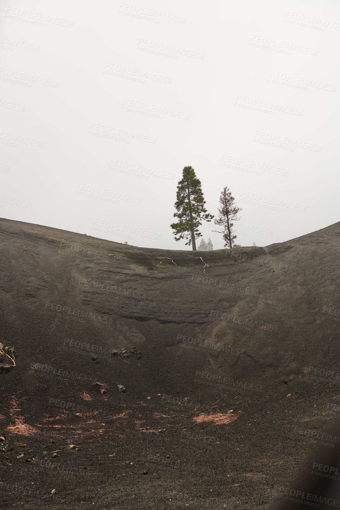 Buy stock photo Beautiful lava landscape on the Cumbre Nueva in La Palma