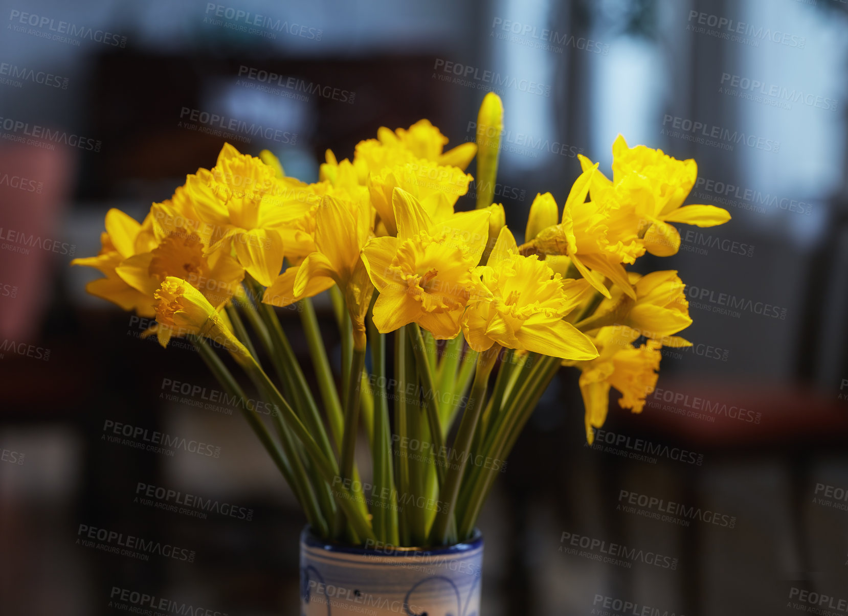 Buy stock photo Bouquet with different kind of flowersBouquet with different kind of flowers