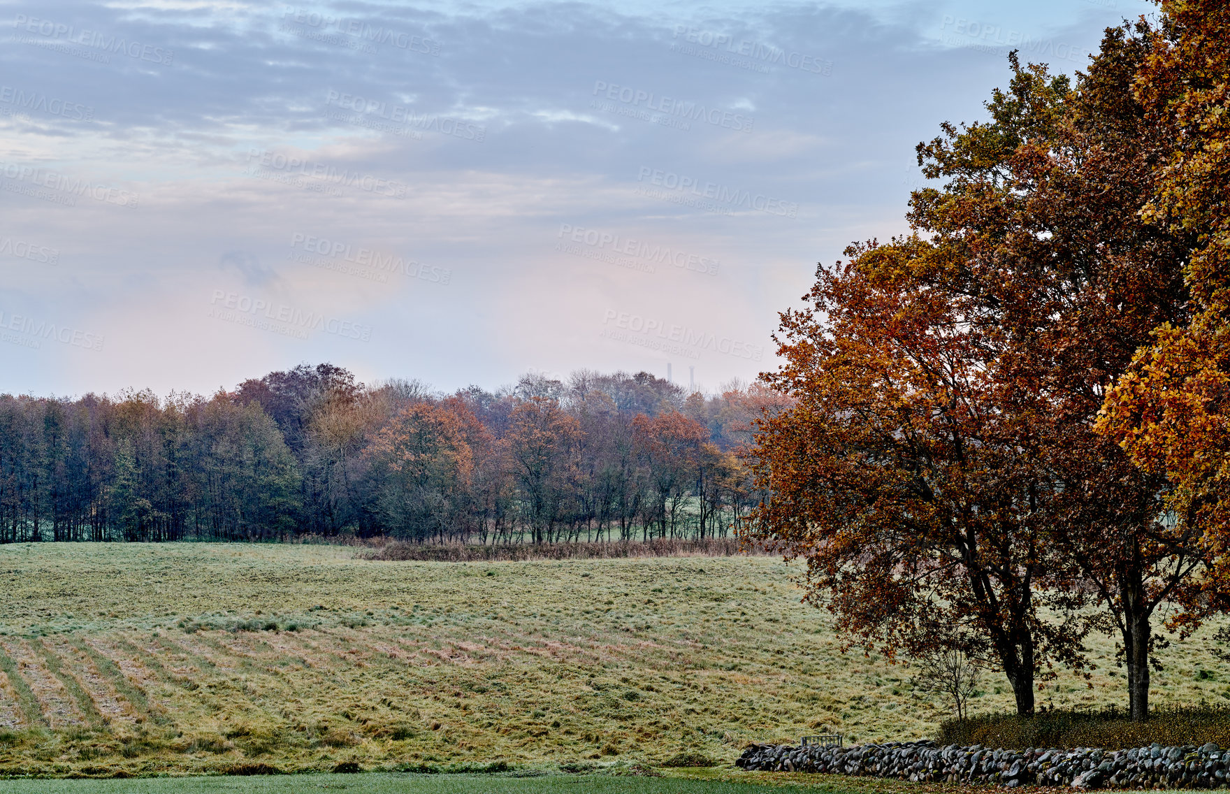 Buy stock photo A photo of a vibrant country field in early autumn