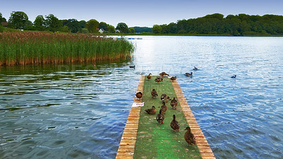 Buy stock photo A photo of a lake