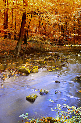 Buy stock photo Autumn - natural background