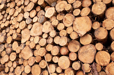 Buy stock photo Lumber industry - lot of woodpiles