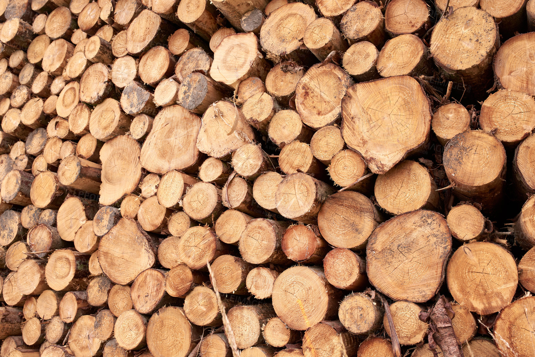 Buy stock photo Lumber industry - lot of woodpiles