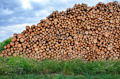 Buy stock photo Lumber industry - lot of woodpiles