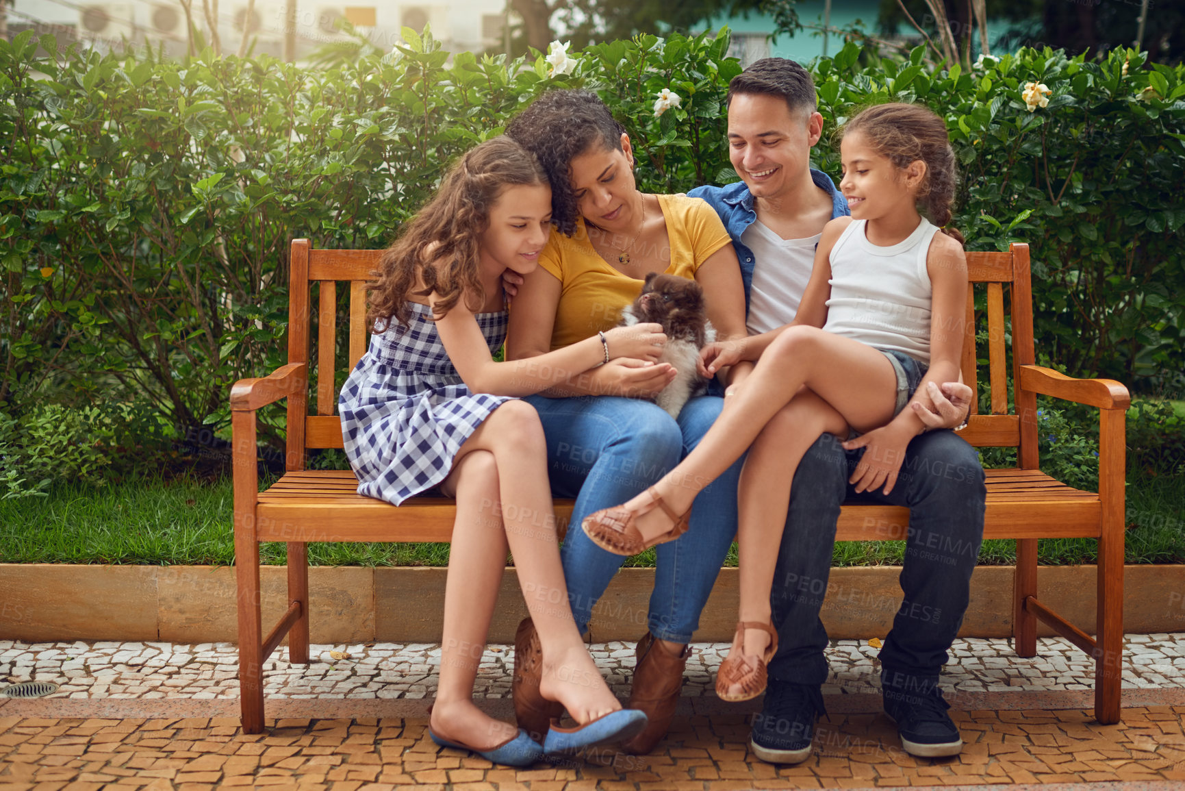 Buy stock photo Puppy, love or happy family on bench in park with smile and dog in nature garden for bonding together. Parents, father or mother in home with care, pet or kid siblings on holiday vacation in France