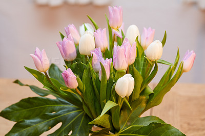 Buy stock photo Beautiful bunch of tulips 