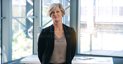 Buy stock photo Portrait, senior and business woman, ceo or professional in office workplace. Face, elderly and female executive, entrepreneur or director from Australia with success mindset, pride for job or career