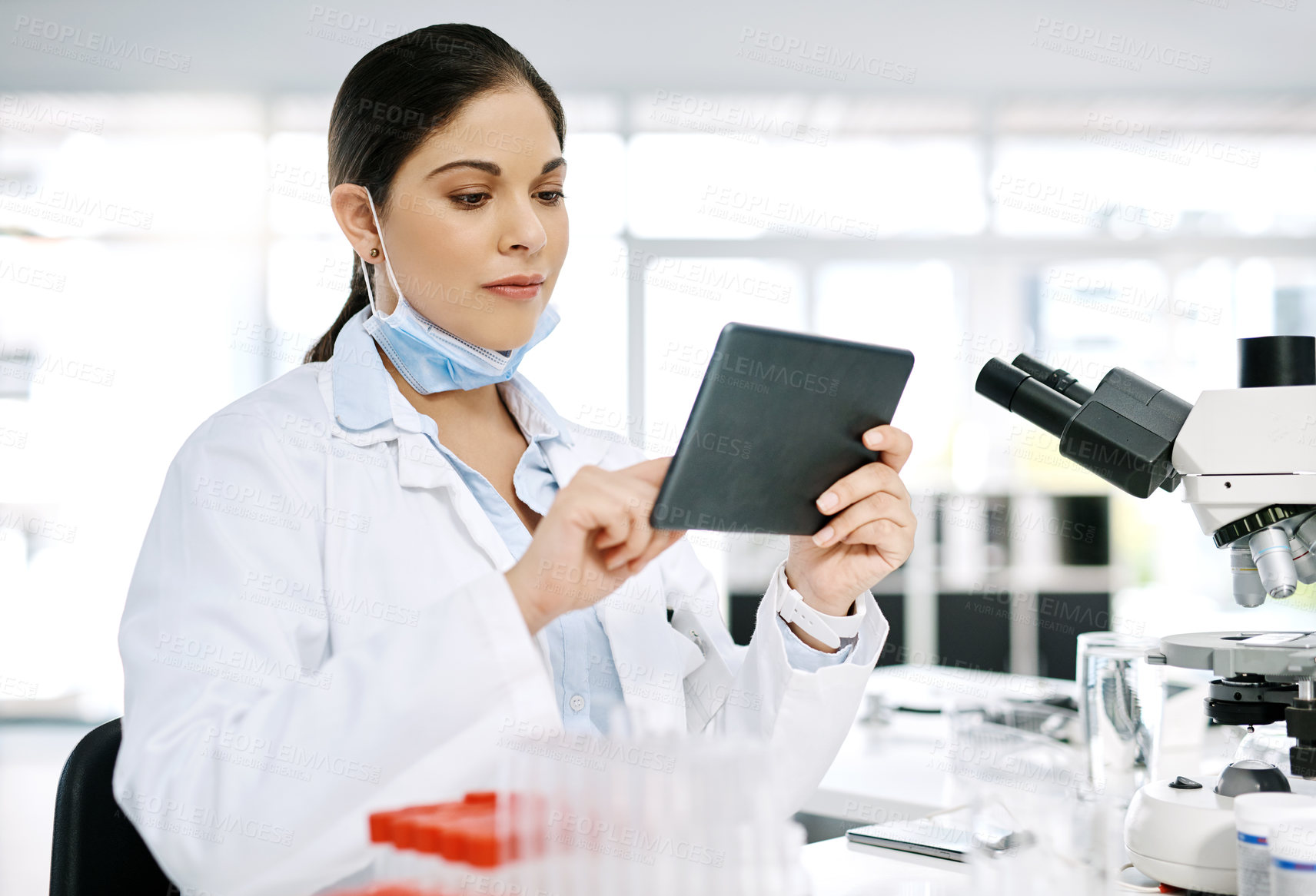 Buy stock photo Science, laboratory and woman with tablet, research or study in pharmaceutical vaccine development. Healthcare, innovation and scientist checking digital app for medical results, process and analysis