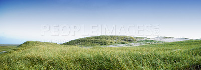 Buy stock photo Copyspace with green grass growing on an empty beach or dune against a blue sky background. Scenic seaside to explore for travel and tourism. Sandy landscape on coast of Jutland in Loekken Denmark