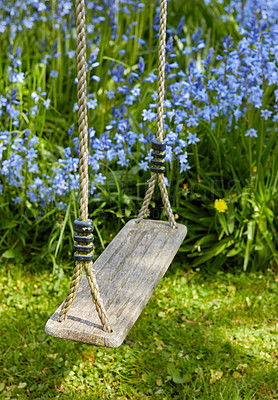 Buy stock photo A wooden swing hanging in a beautiful garden with purple flowers growing in a lush green bush and grass. Decorative object swinging outdoors in a backyard near foliage. Botanic area in a yard