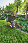 Garden and wheelbarrow