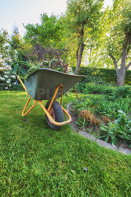 Buy stock photo Maintenance equipment on cut fresh green grass in a clean backyard used for gardening, moving plants, vegetations, dry leaves and branches. A wheelbarrow on a lawn in a garden. 