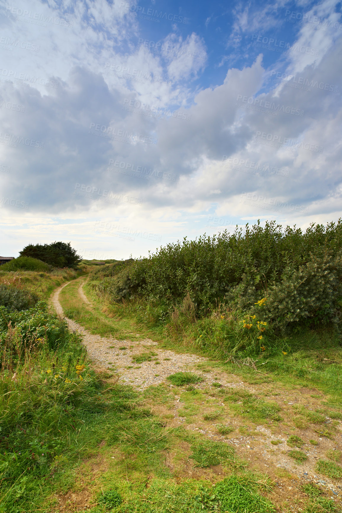 Buy stock photo Landscape view of a dirt road road in a countryside leading to lush green meadow and field in Germany. Travel to remote, serene land or area. Quiet scenery with trees, bushes, shrubs, lawn and grass