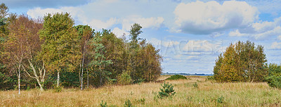 Buy stock photo Copyspace and scenic landscape of grassy meadows and forest trees with a cloudy blue sky. Field and scrubs with brown grass during Autumn. View of remote grassland in the countryside in Sweden