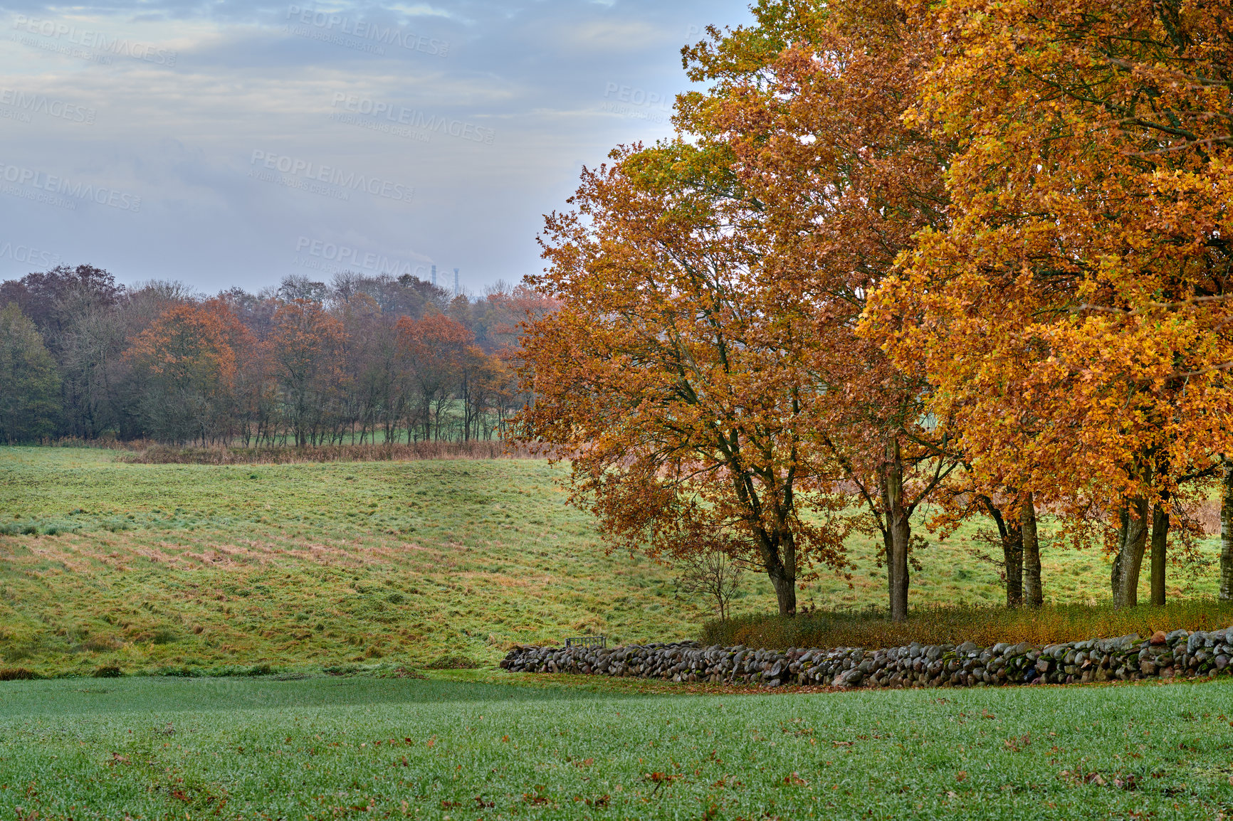 Buy stock photo A photo of a vibrant country field in early autumn