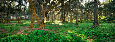 Buy stock photo A photo of the famous Hawaiian beach - Bellow Field Beach Park, Close to Waimanalo, the island Oahu, Hawaii