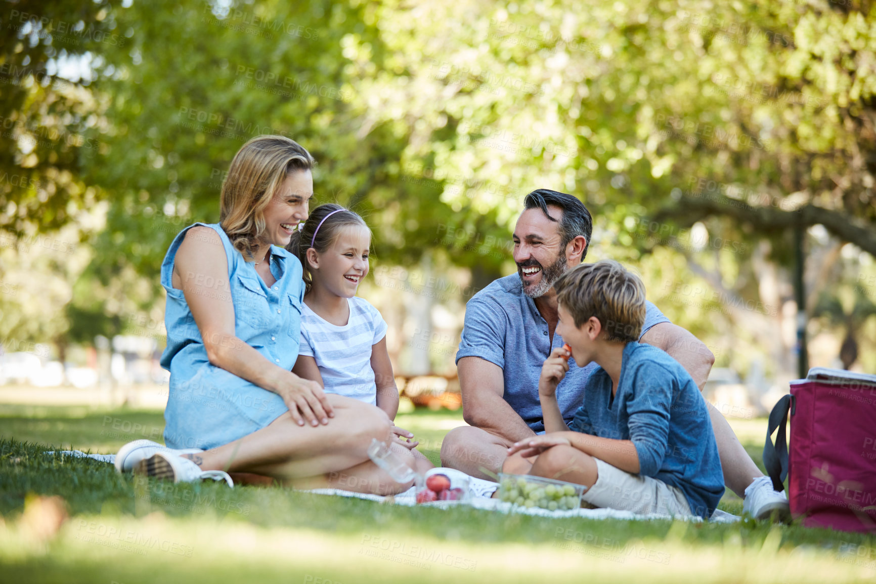 Buy stock photo Shot of a happy young family enjoying a picnic in the park