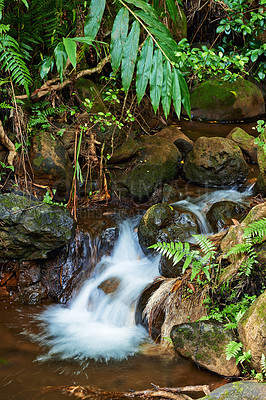 Buy stock photo Small waterfall - Oahu, Hawaii, USA
