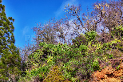 Buy stock photo Mountain trails on La Palma, the west coast, Canary Island, Spain, Aerial view