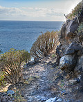 Mountain trails - La Palma, Canary Islands