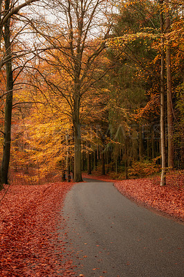 Buy stock photo Autumn - natural background