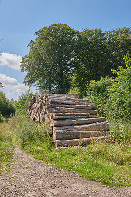 Buy stock photo Chopped tree logs piled up in a forest. Collecting dry stumps of timber and split hardwood material for firewood and the lumber industry. Rustic landscape with deforestation and felling in the woods