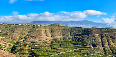 Buy stock photo Copyspace landscape view of banana plantations around Los Llanos, La Palma in Spain. Remote farmland on the countryside against a blue sky. Secluded mountains in a deserted town with copy space