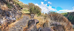 Mountain trails - La Palma, Canary Islands