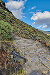 Mountain trails - La Palma, Canary Islands