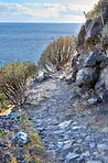 Mountain trails - La Palma, Canary Islands